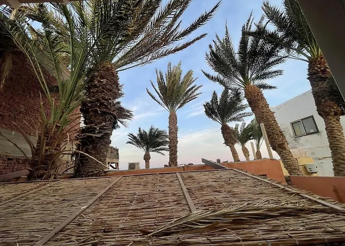 Japandi Oasis -right Next To The * Dahab
