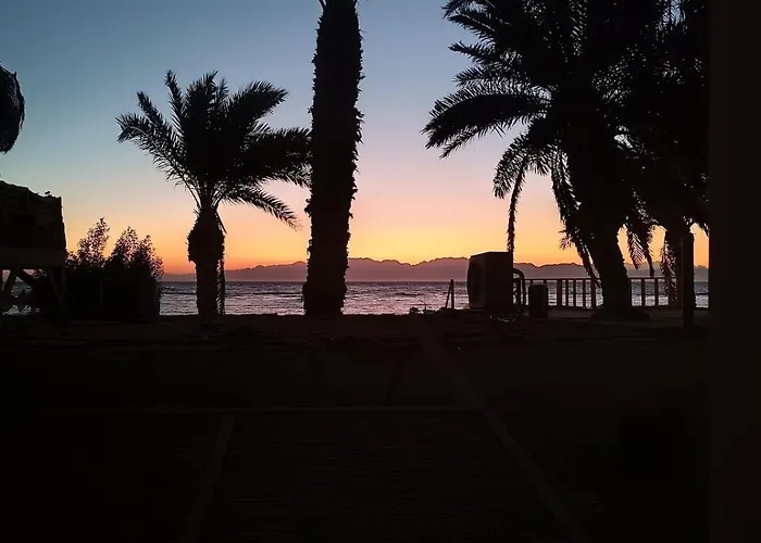 Japandi Oasis -right Next To The Daire Dahab